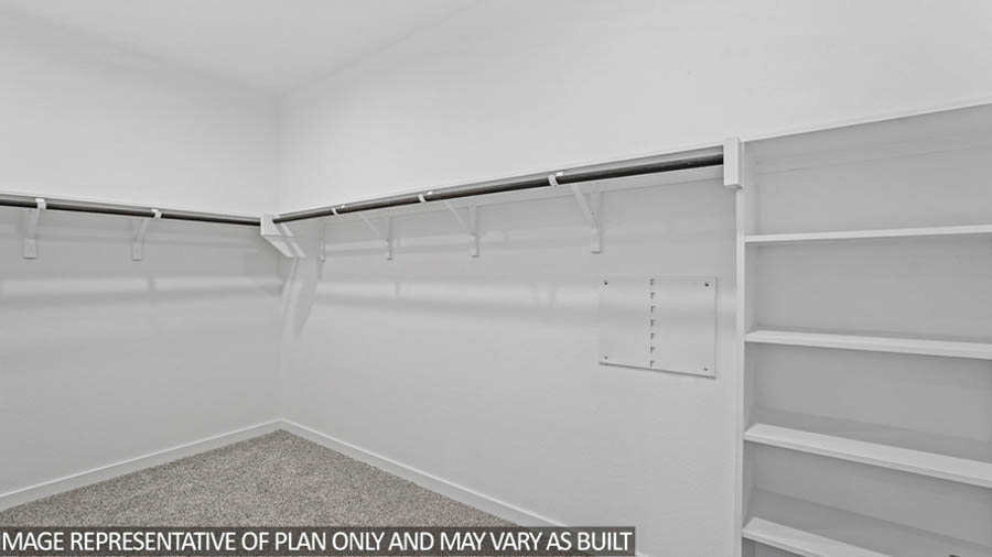 Primary walk-in closet with carpet flooring