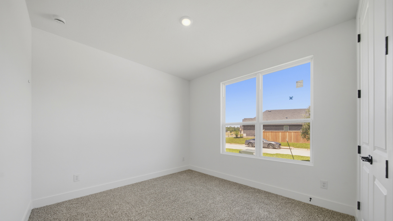 Secondary bedroom with shag carpet flooring and bright window
