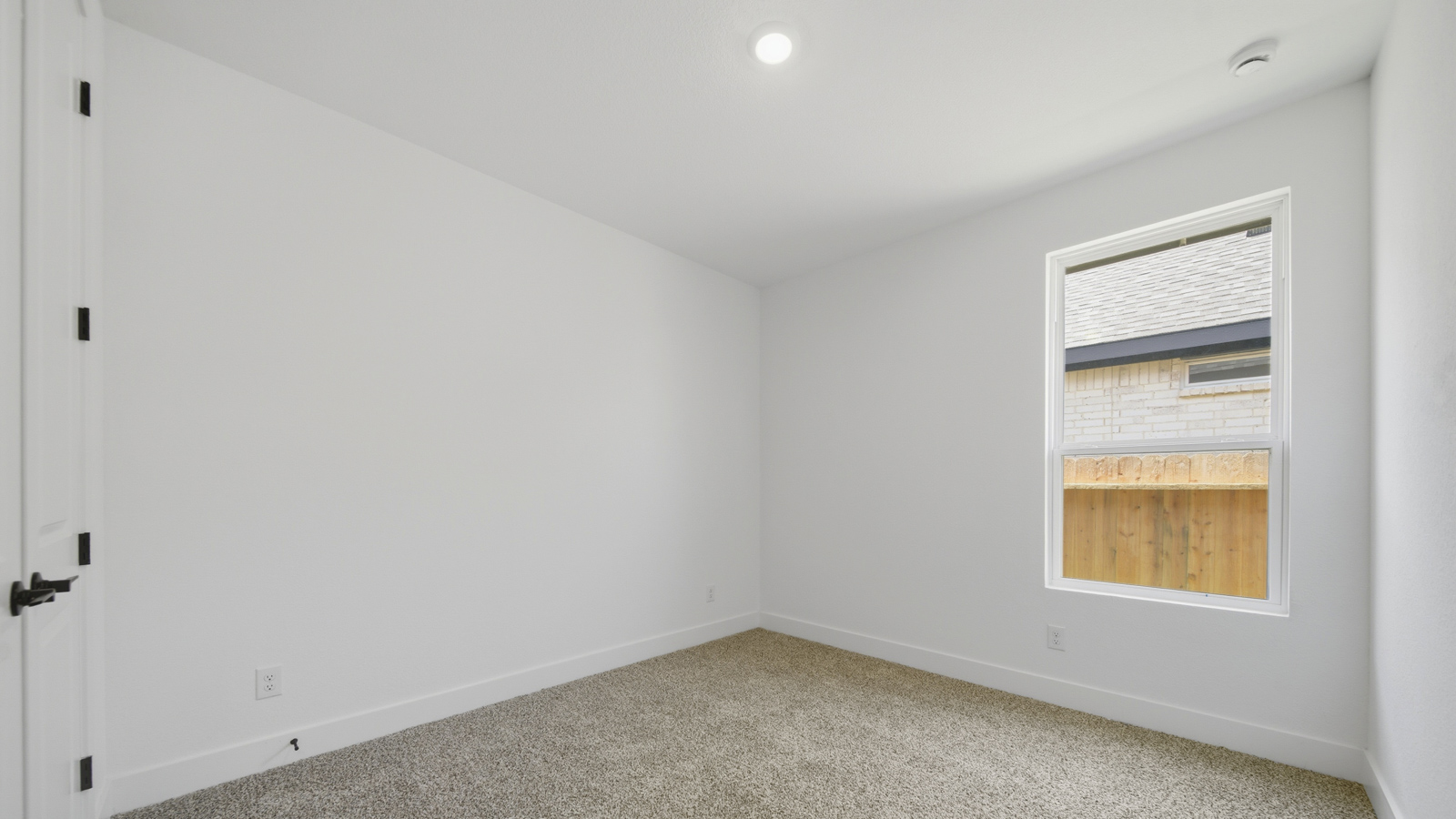 Secondary bedroom with shag carpet flooring and bright window