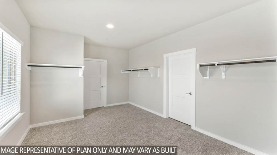 Primary walk-in closet with carpet flooring