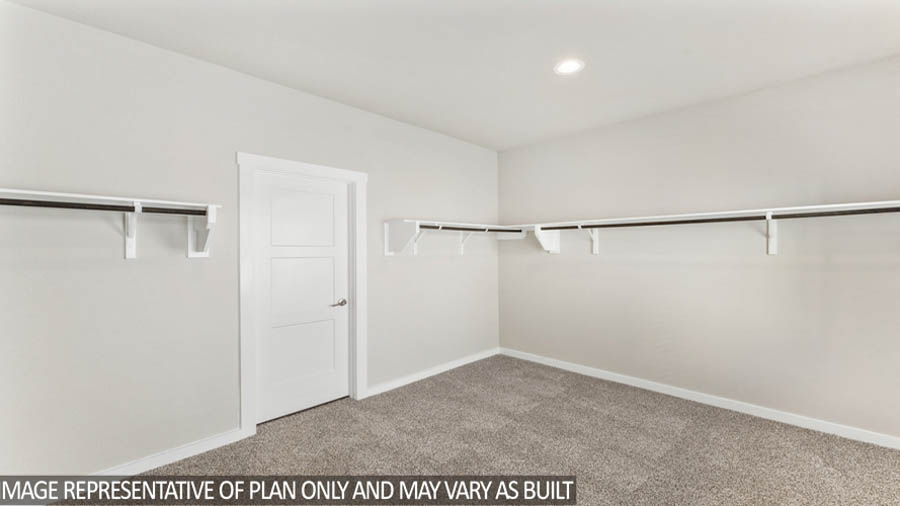 Primary walk-in closet with carpet flooring