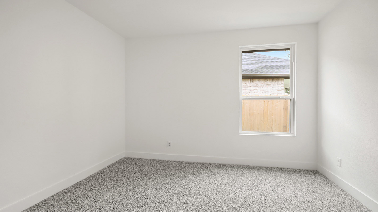 Secondary bedroom with shag carpet flooring and bright window