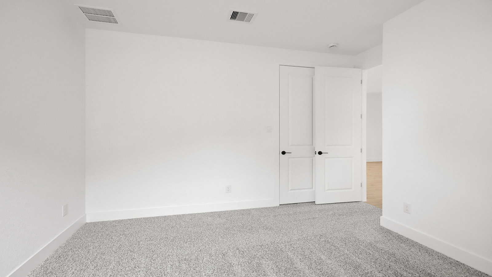 Secondary bedroom with shag carpet flooring and bright window