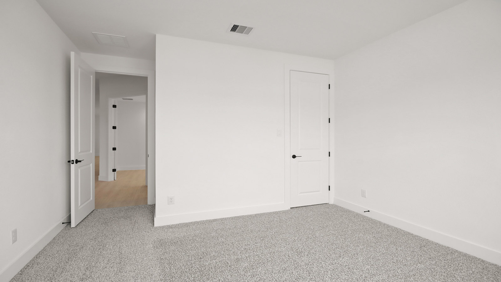 Secondary bedroom with shag carpet flooring and bright window