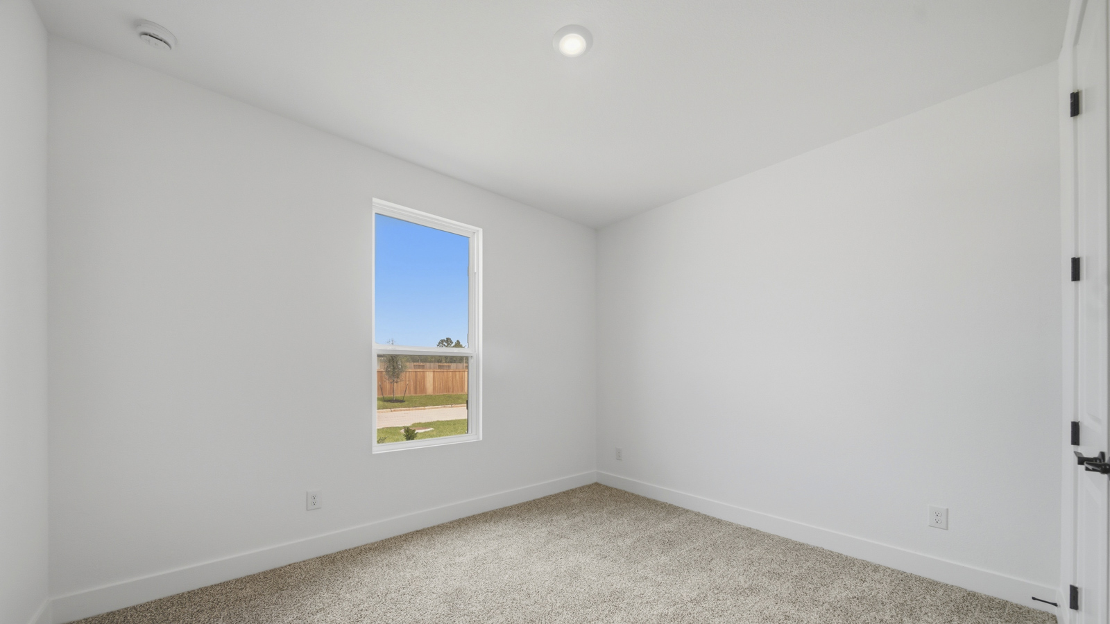 Secondary bedroom with shag carpet flooring and bright window