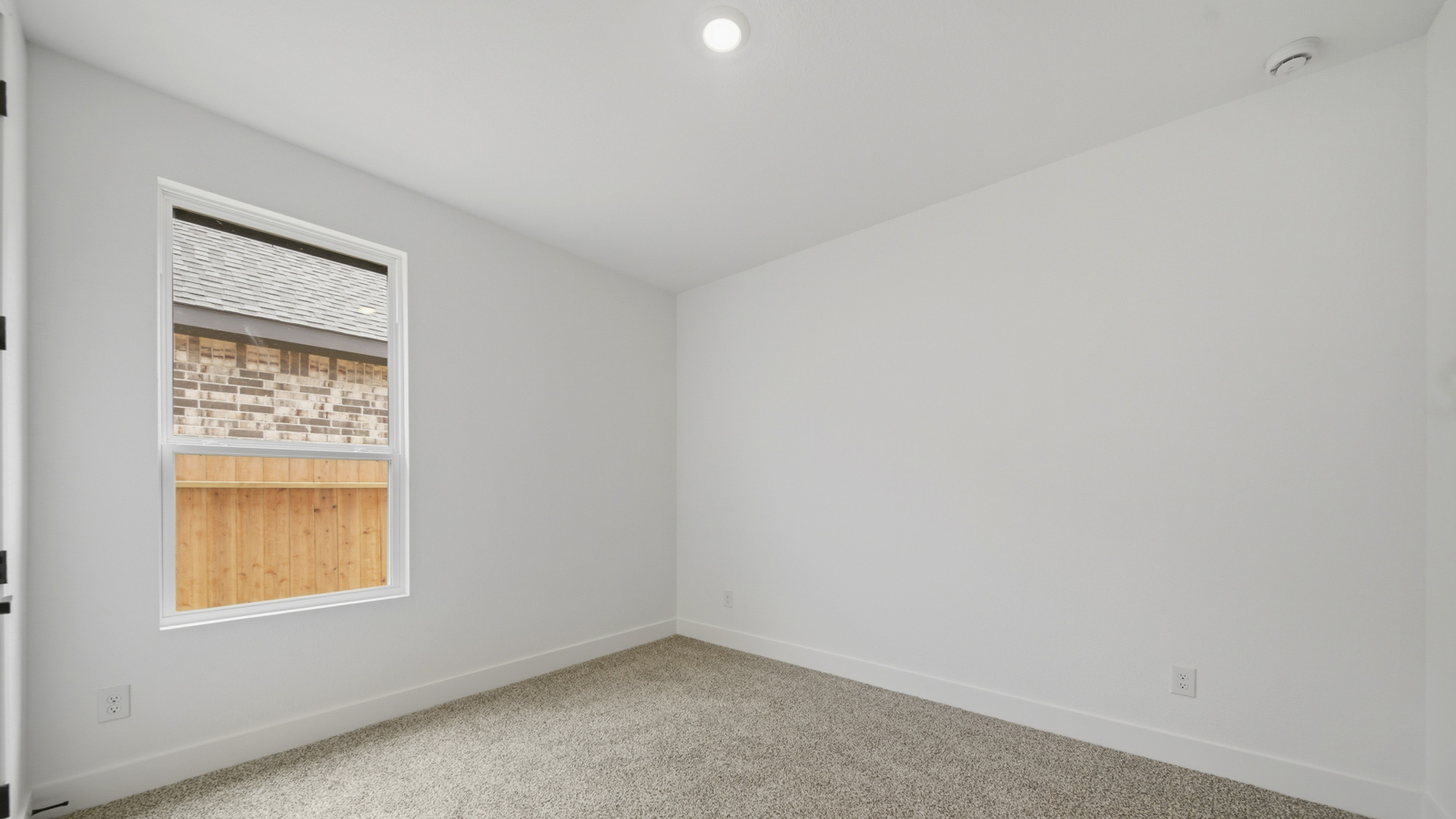 Secondary bedroom with shag carpet flooring and bright window