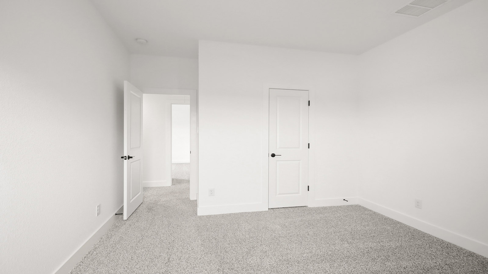Secondary bedroom with shag carpet flooring and bright window