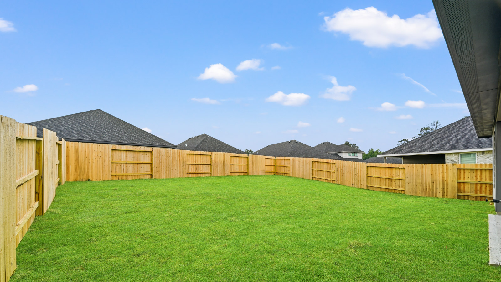 Fully Landscaped backyard