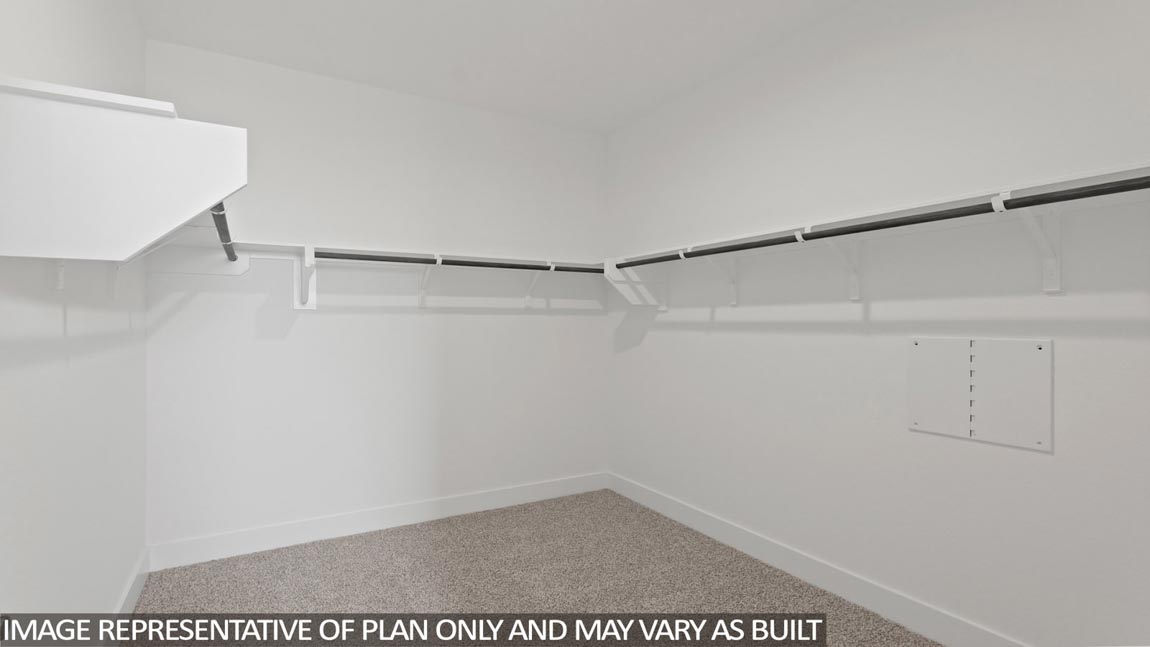 Primary walk-in closet with carpet flooring