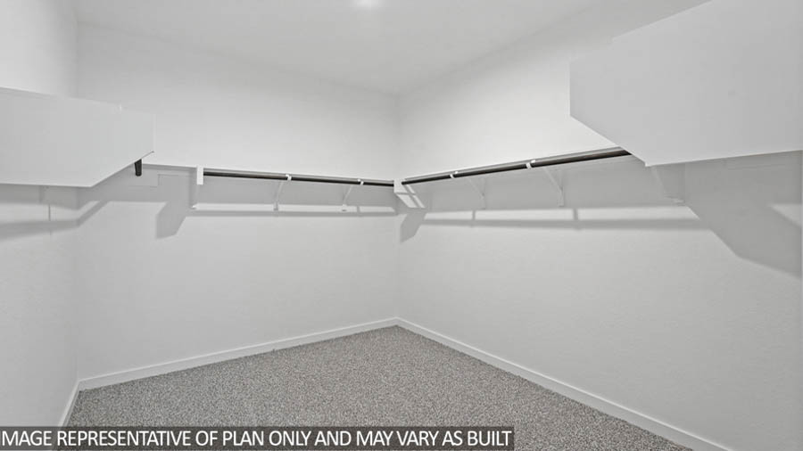 Primary walk-in closet with carpet flooring