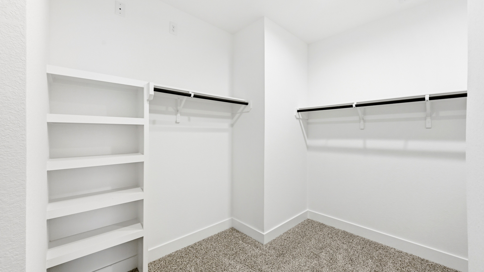 Primary walk-in closet with carpet flooring