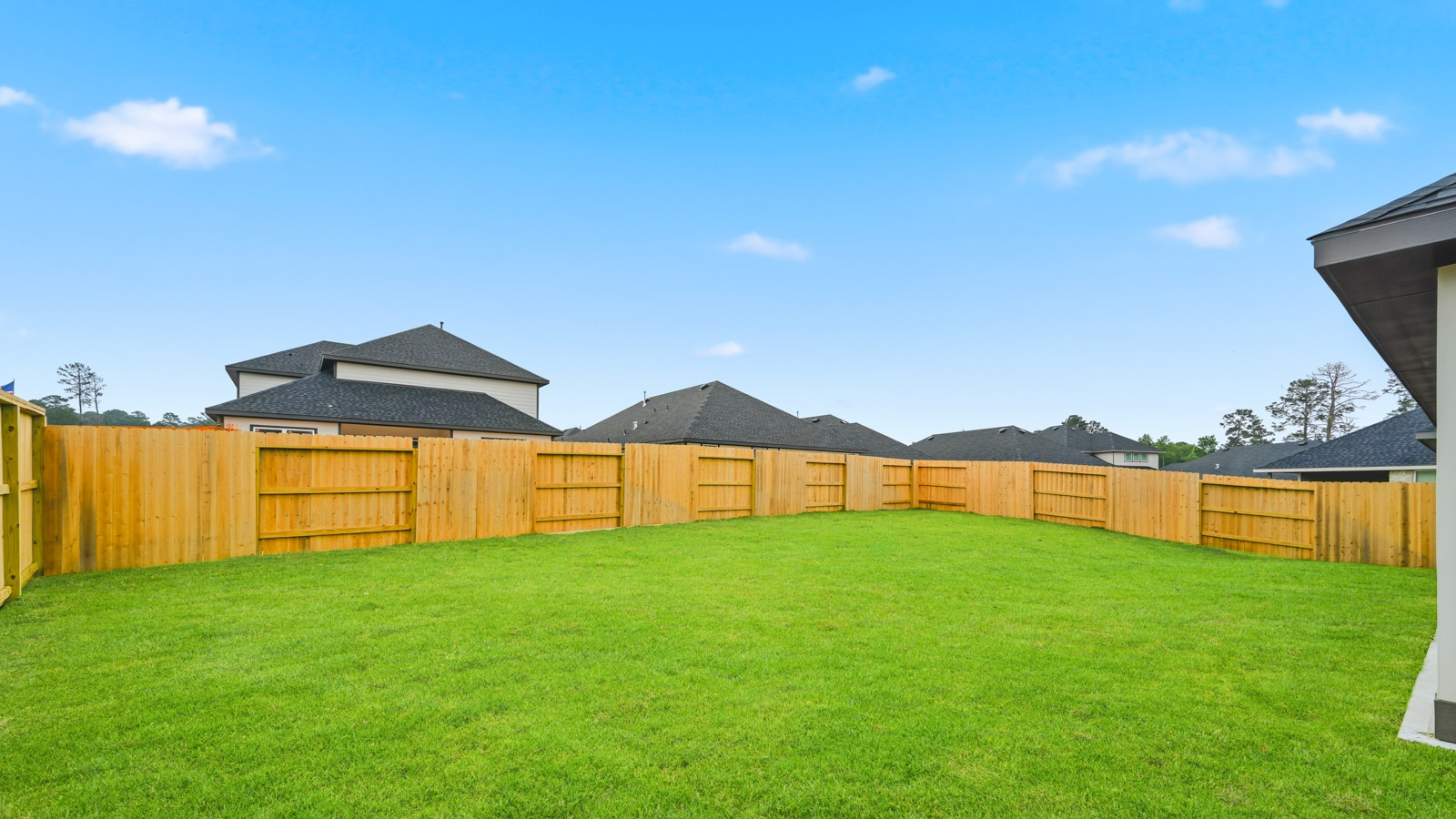 Fully Landscaped backyard