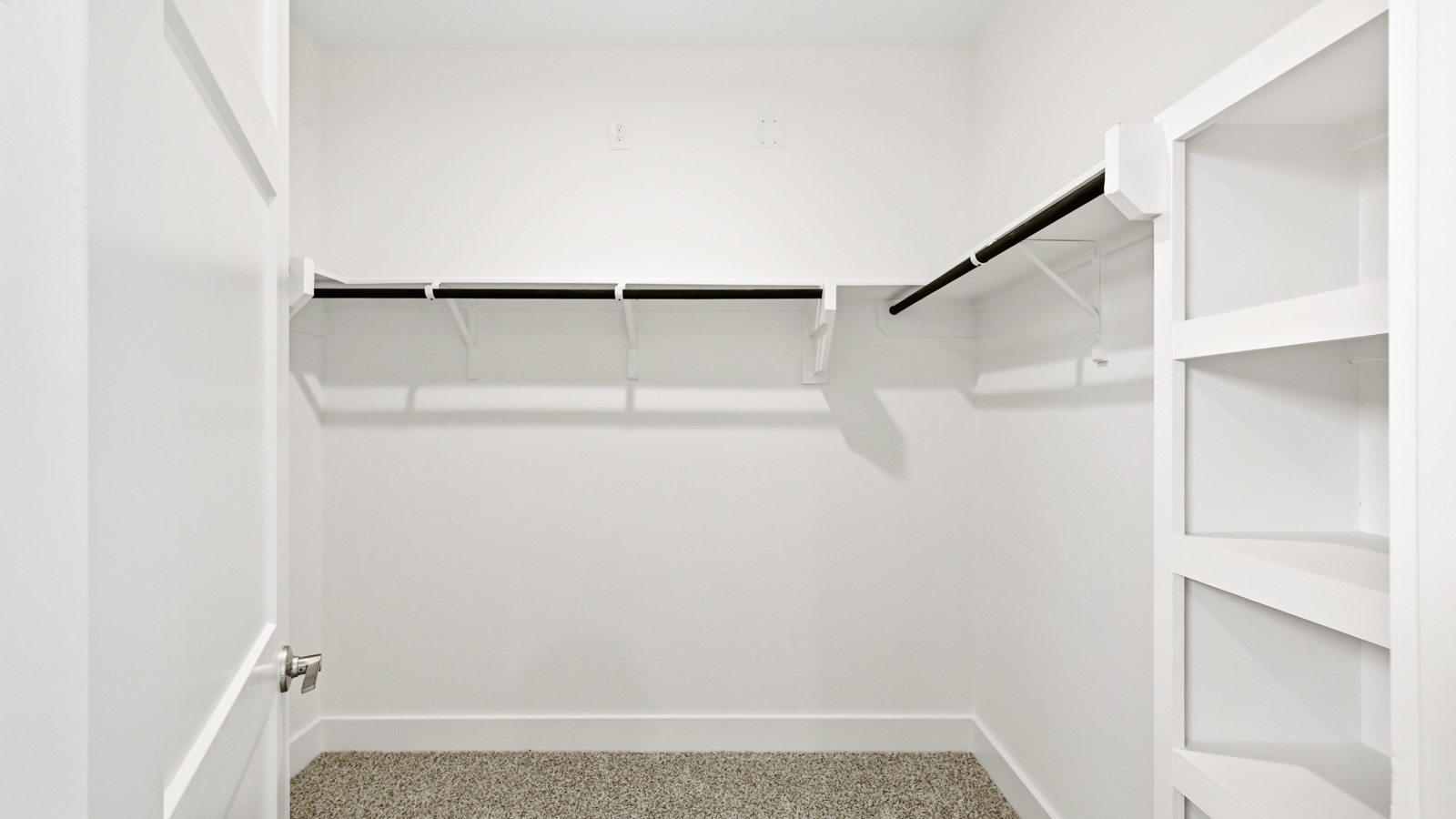 Primary walk-in closet with carpet flooring