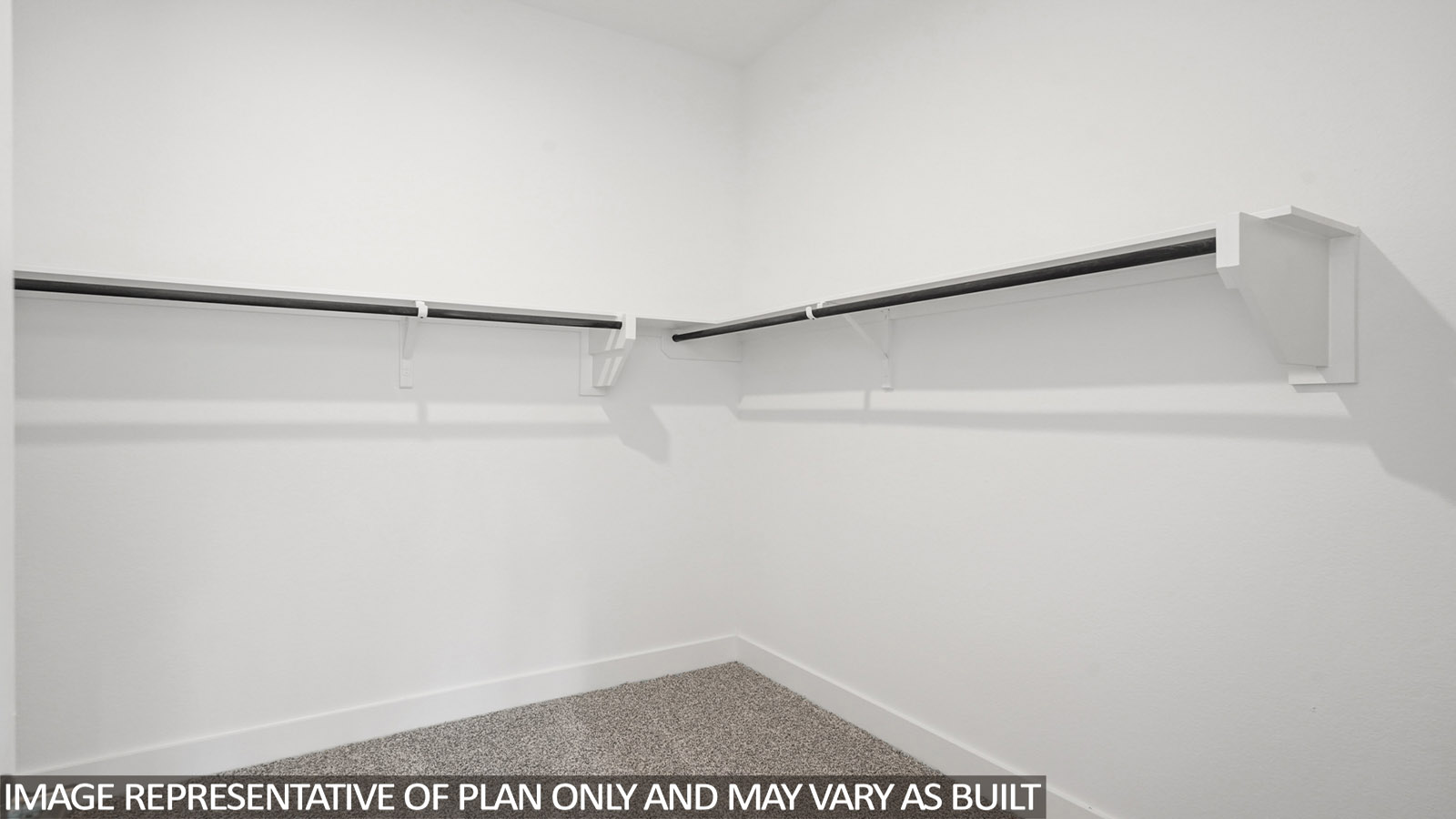 Primary walk-in closet with carpet flooring