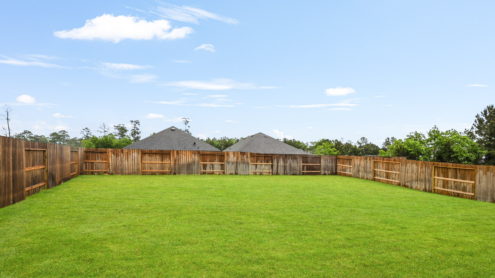 Fully Landscaped backyard