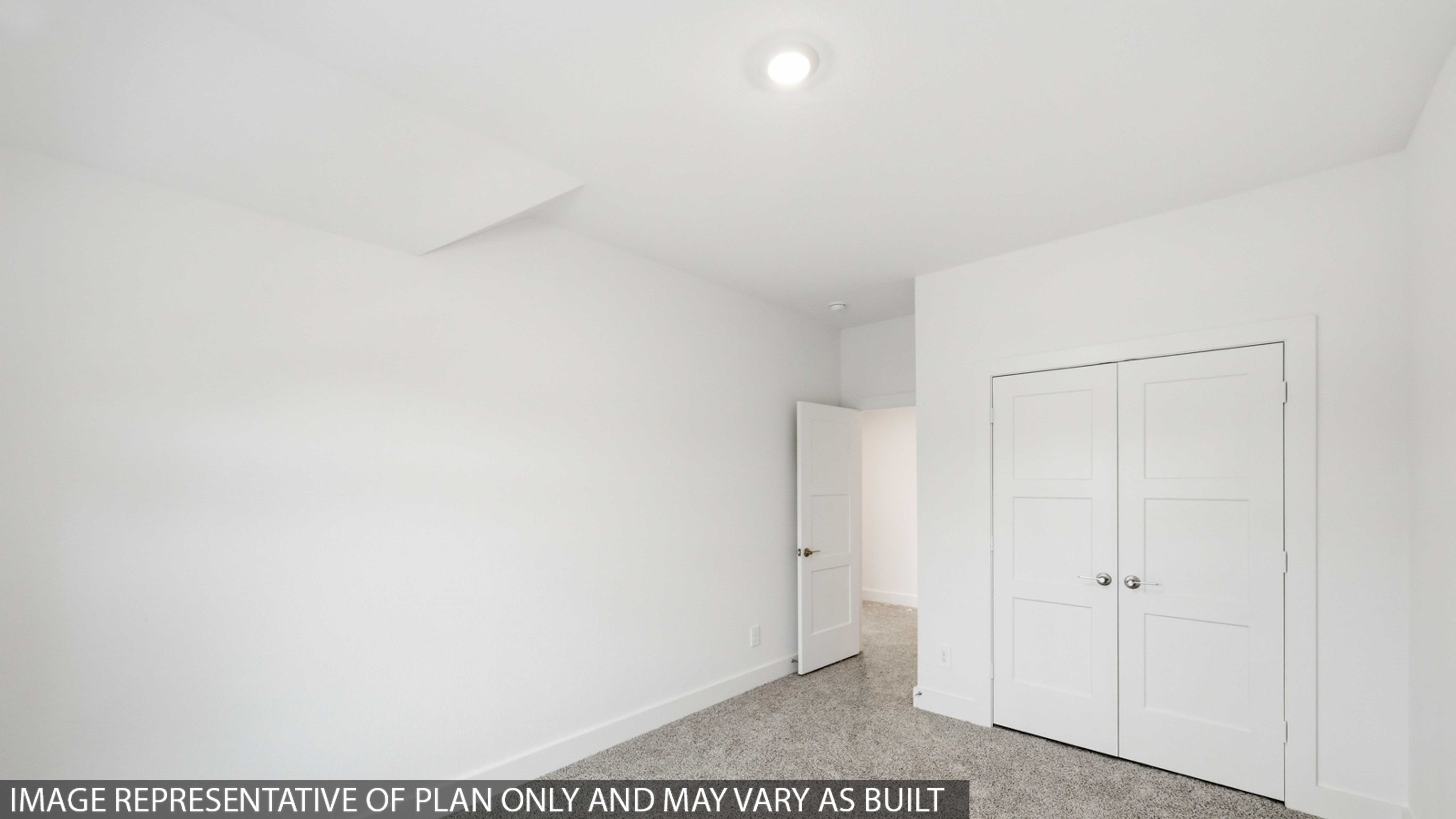 Large Primary bedroom with shag carpet flooring and bright window