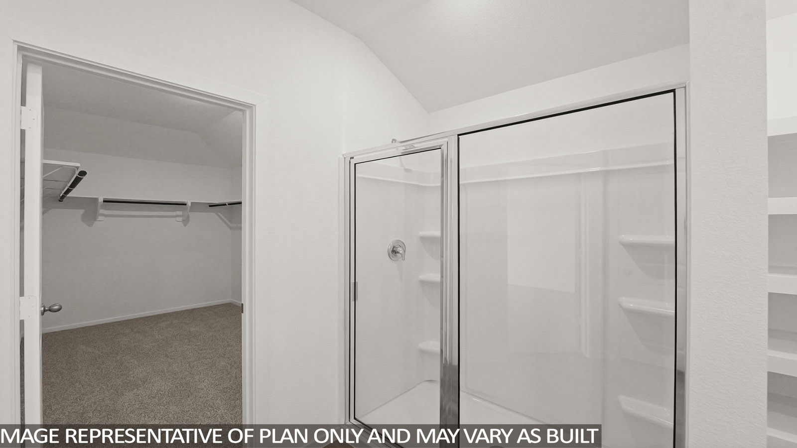 Primary walk-in closet with carpet flooring