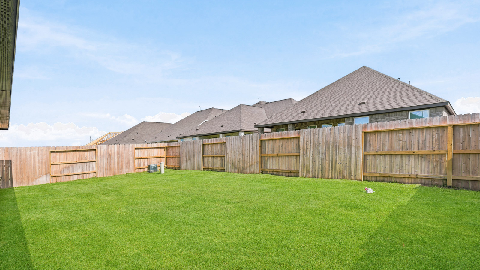 fully fenced and sodded backyard