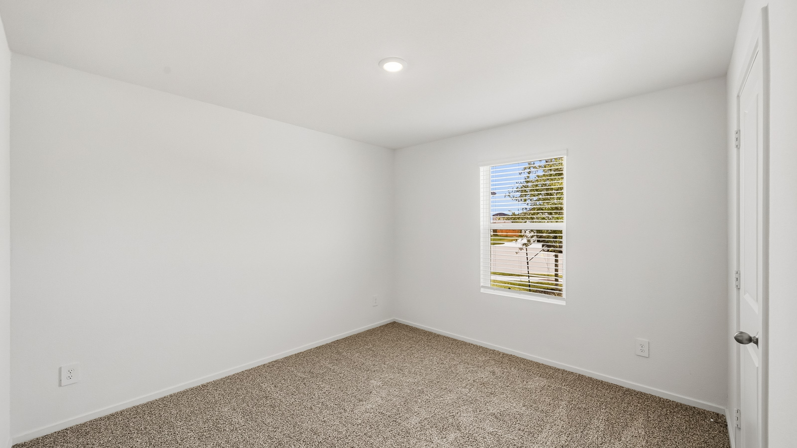 bedroom with carpet flooring