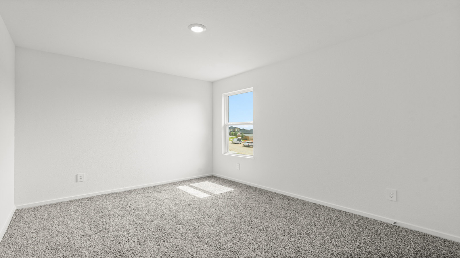 bedroom with carpet flooring