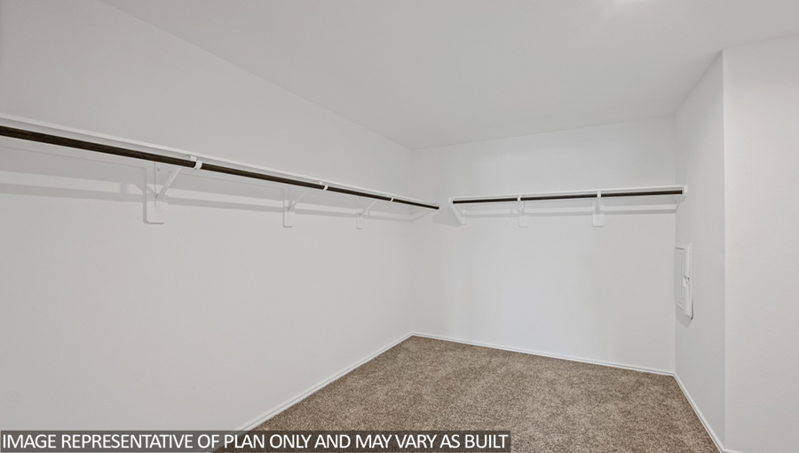 Primary walk-in closet with carpet flooring