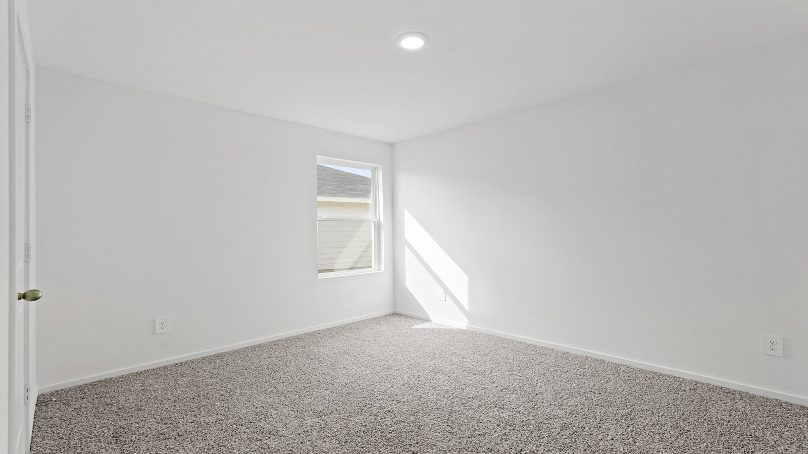 bedroom with carpet flooring