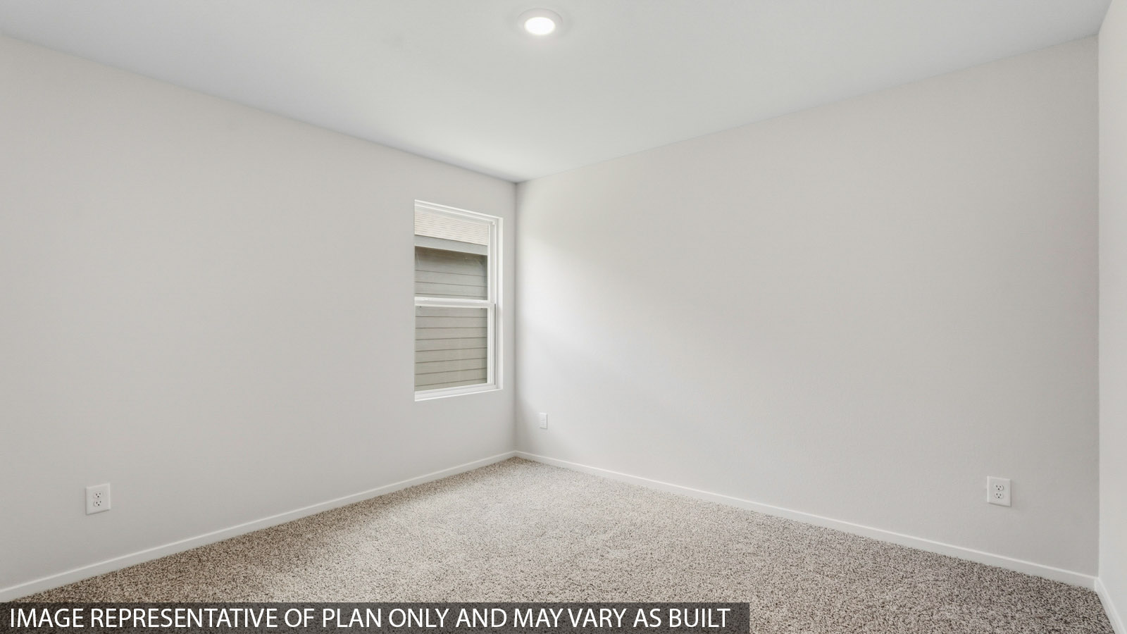 bedroom with carpet flooring