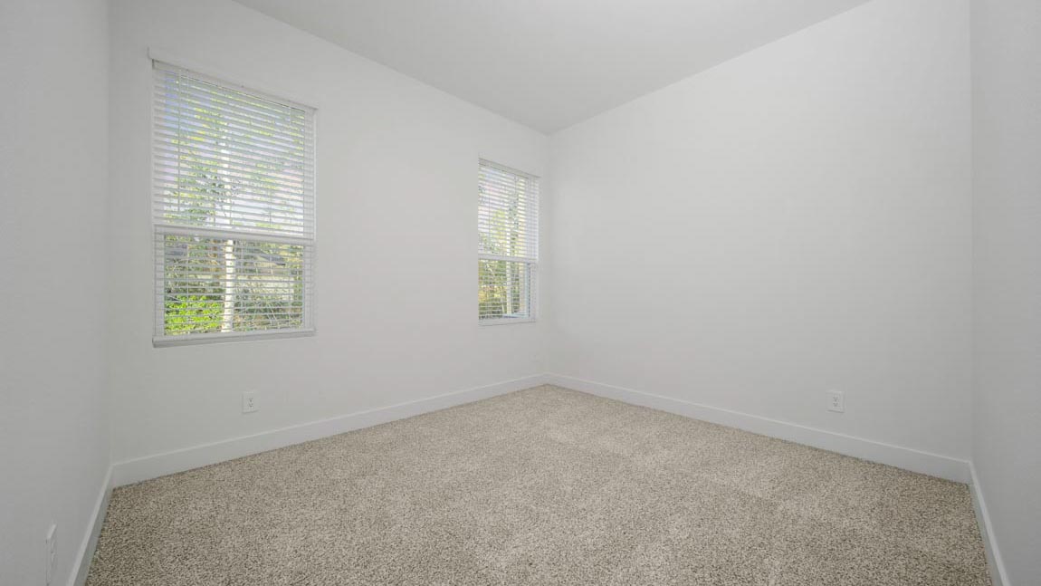 Secondary bedroom with shag carpet flooring and bright window