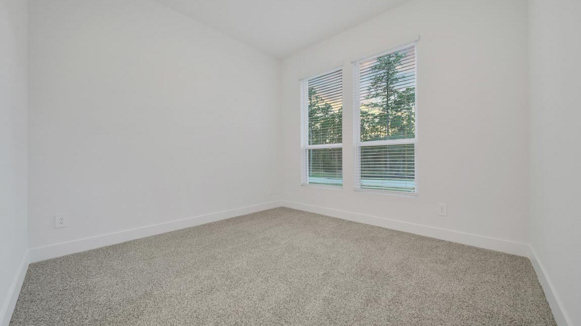 Secondary bedroom with shag carpet flooring and bright window