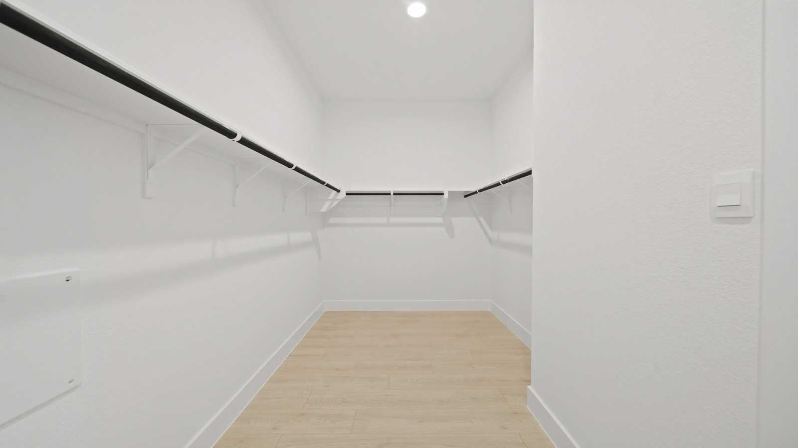Primary walk-in closet with carpet flooring