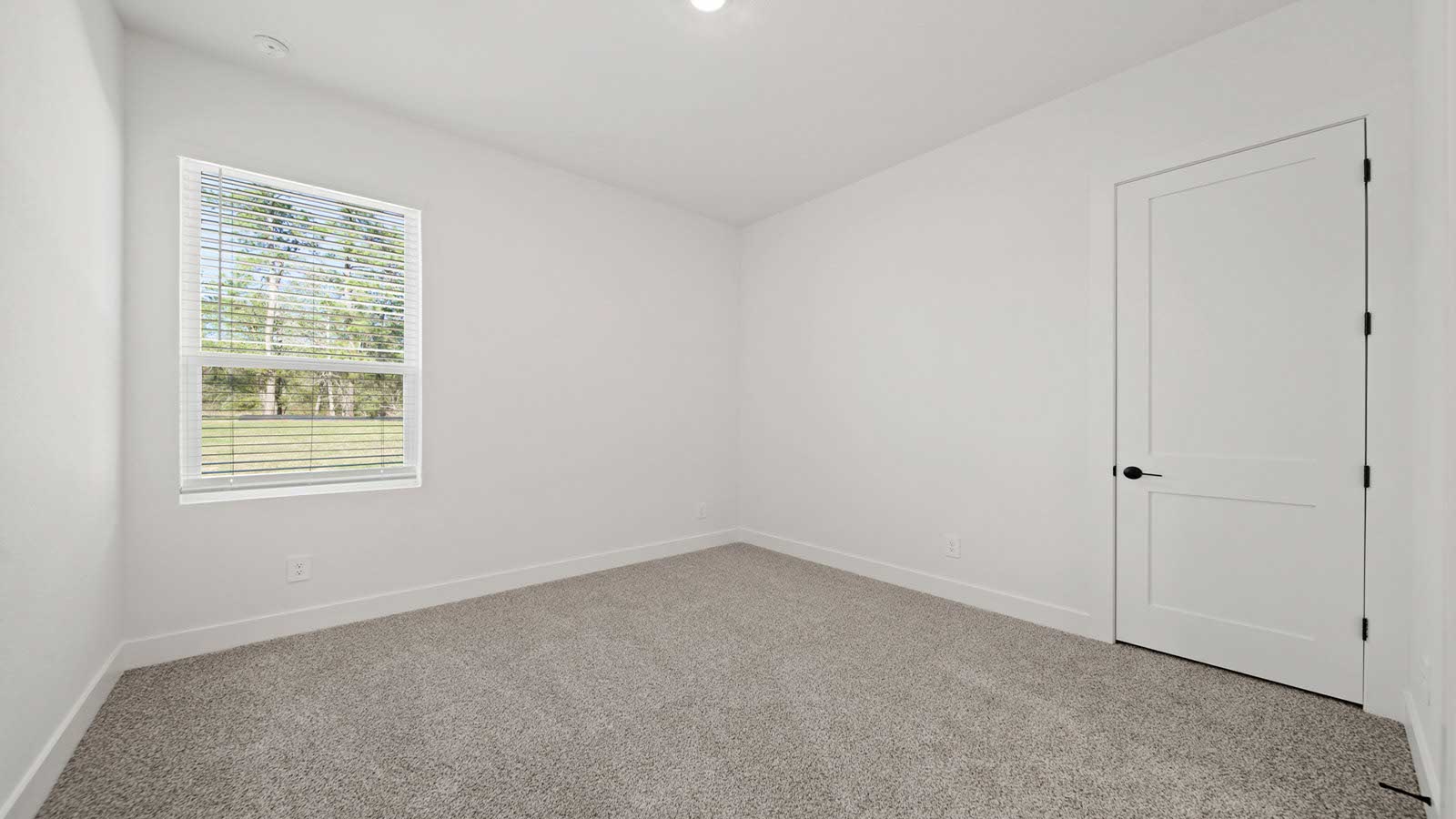 Secondary bedroom with carpet flooring