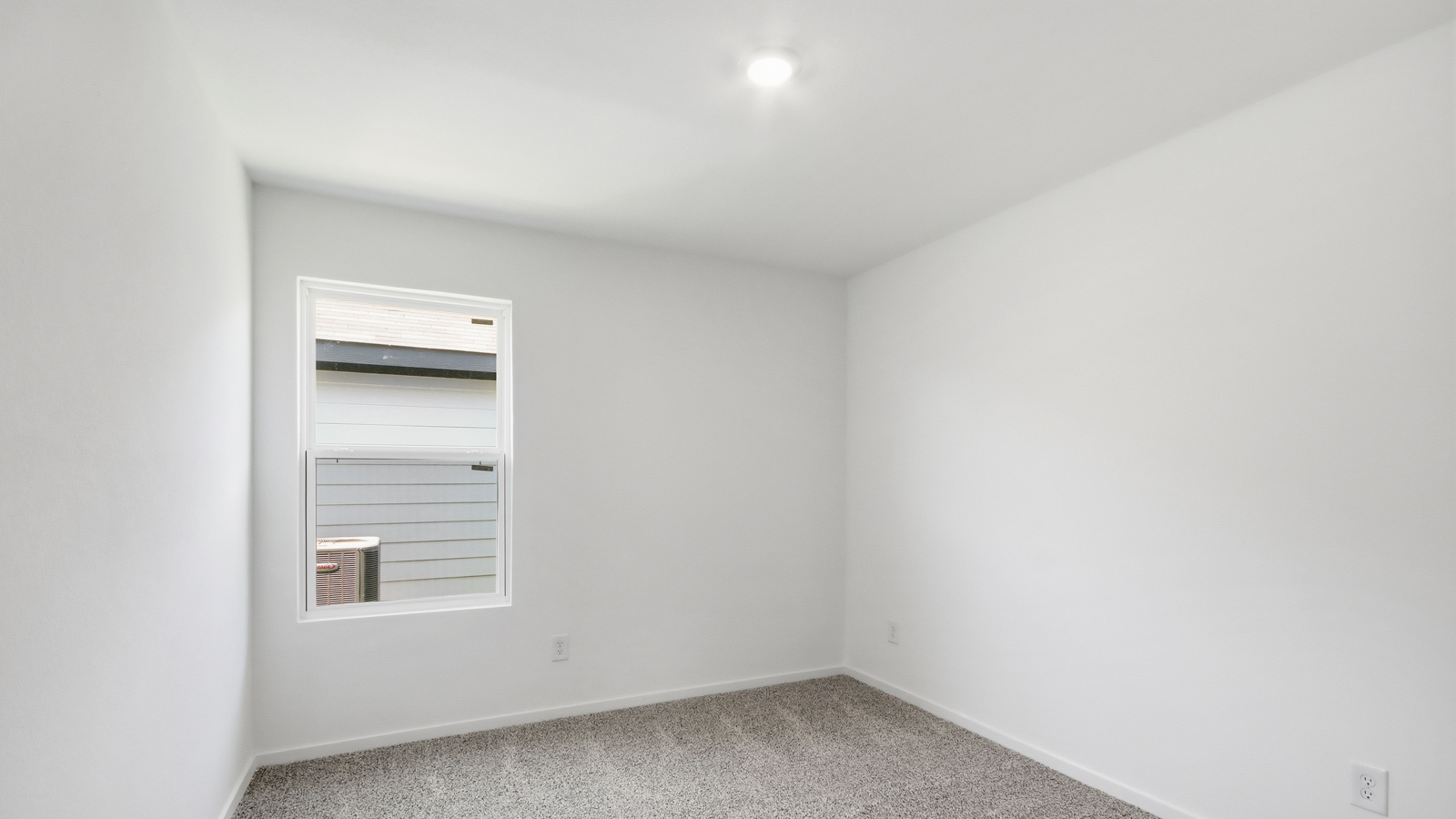 bedroom with carpet flooring