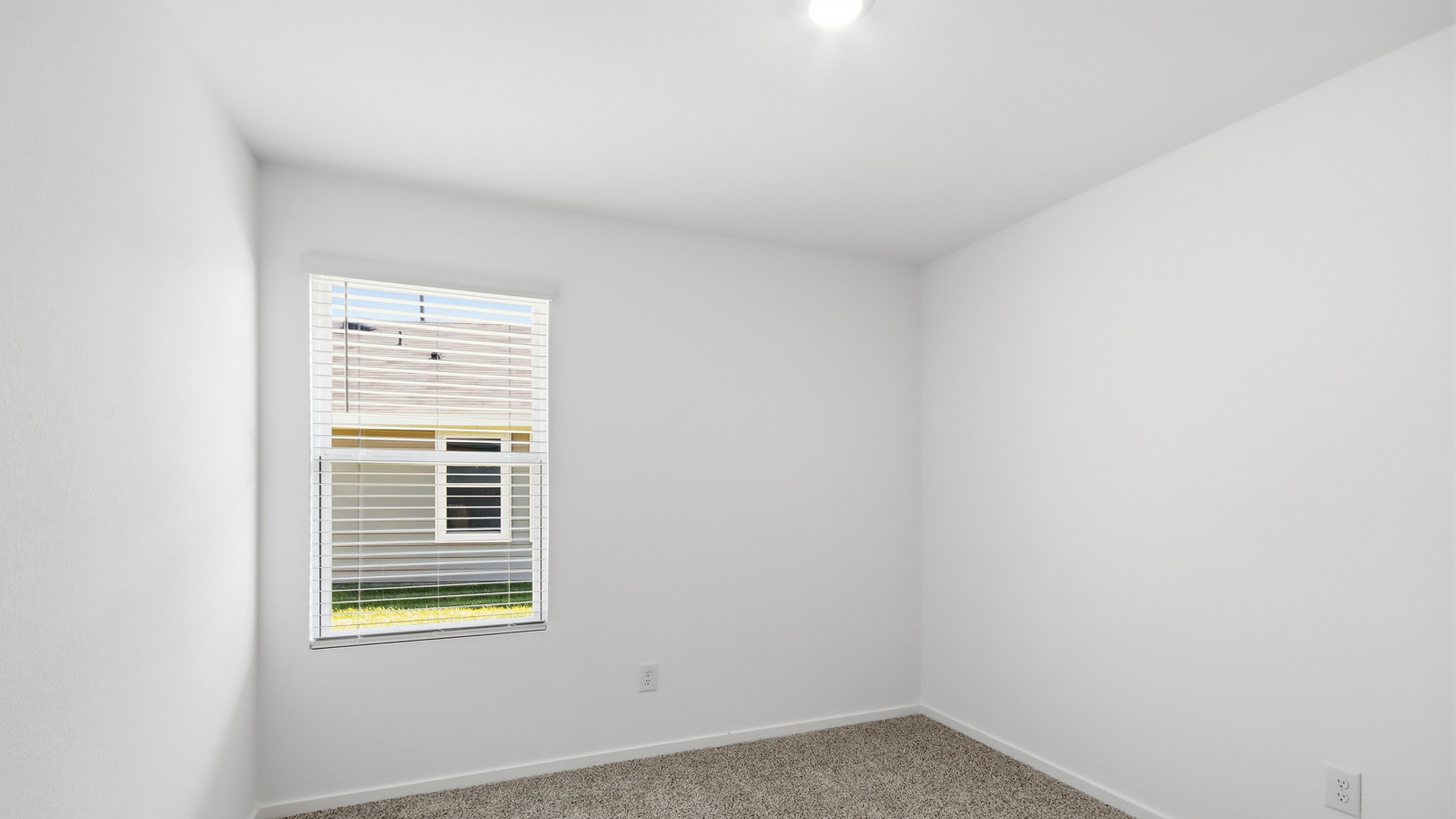 bedroom with carpet flooring