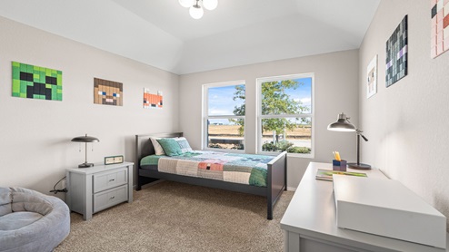 secondary bedroom with carpet and window