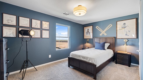 secondary bedroom with carpet and window