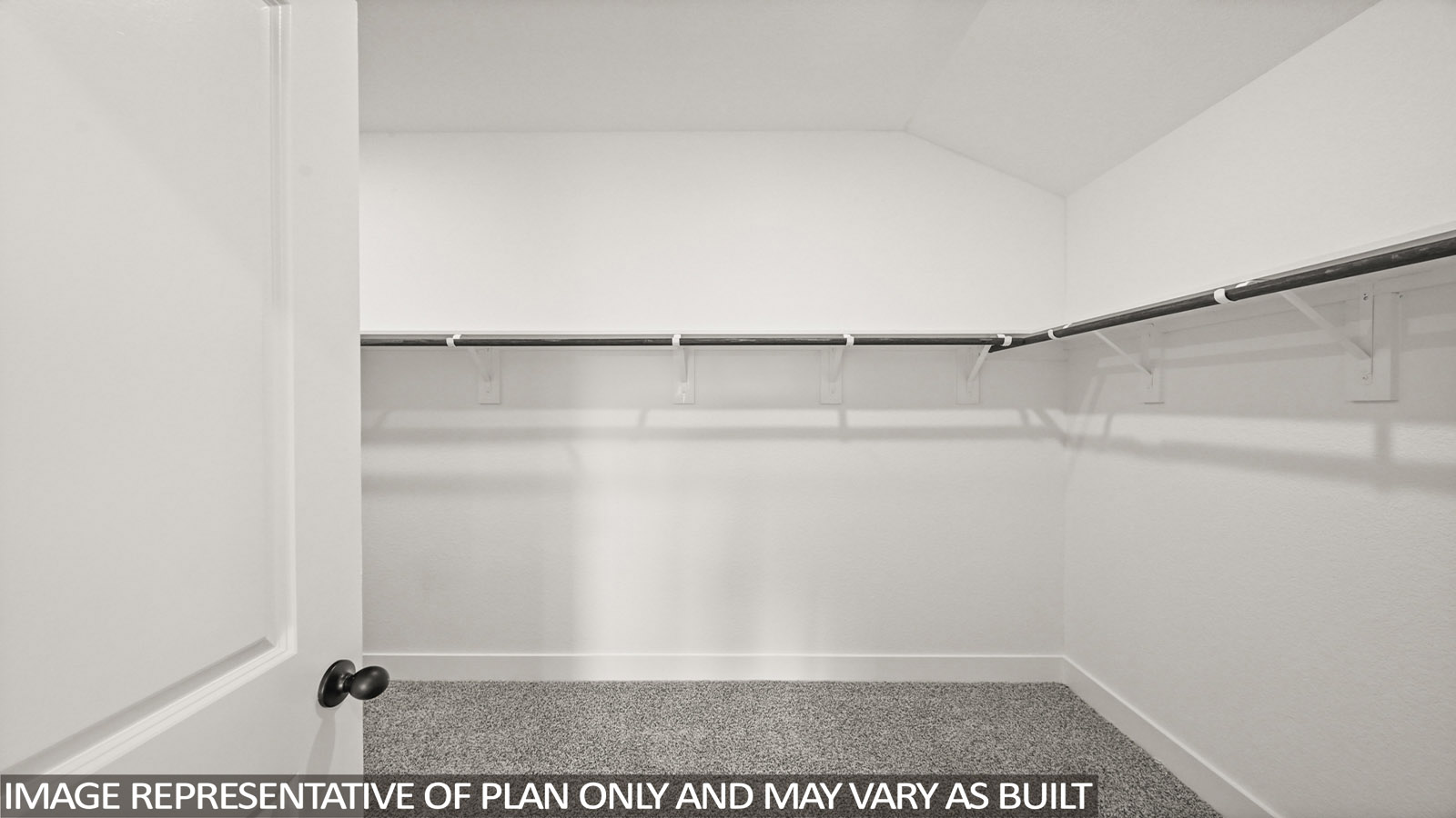 Primary walk-in closet with carpet flooring