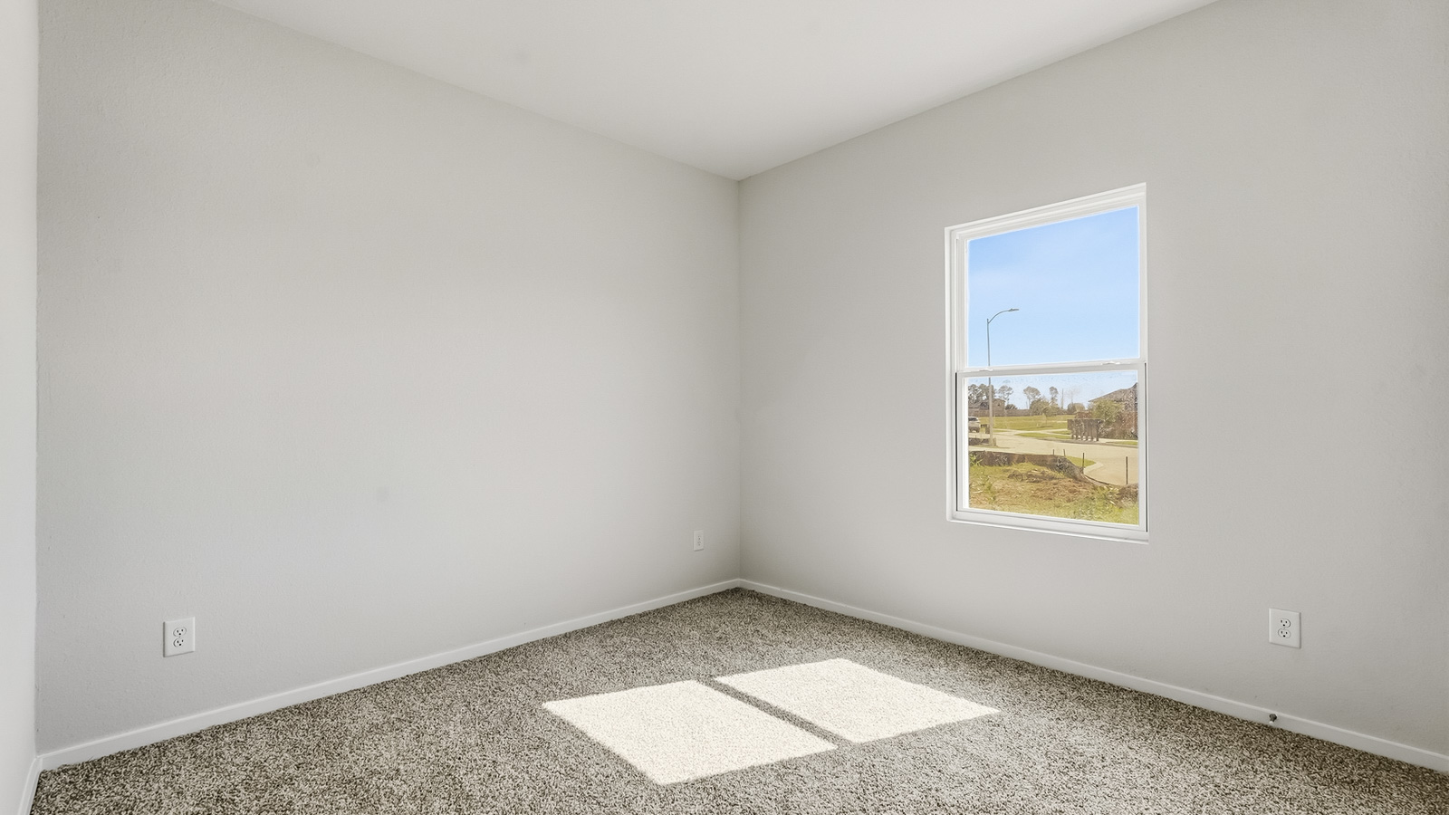 Secondary bedroom with shag carpet flooring and bright window
