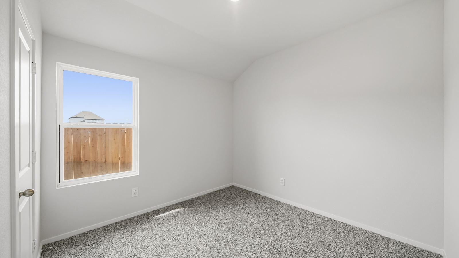 Secondary bedroom with shag carpet flooring and bright window