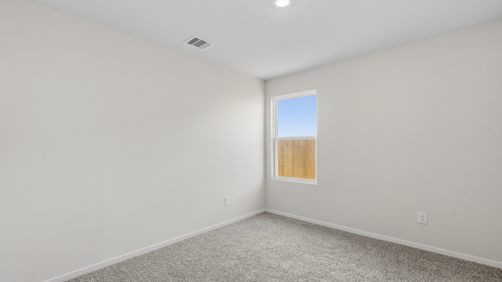 Secondary bedroom with shag carpet flooring and bright window