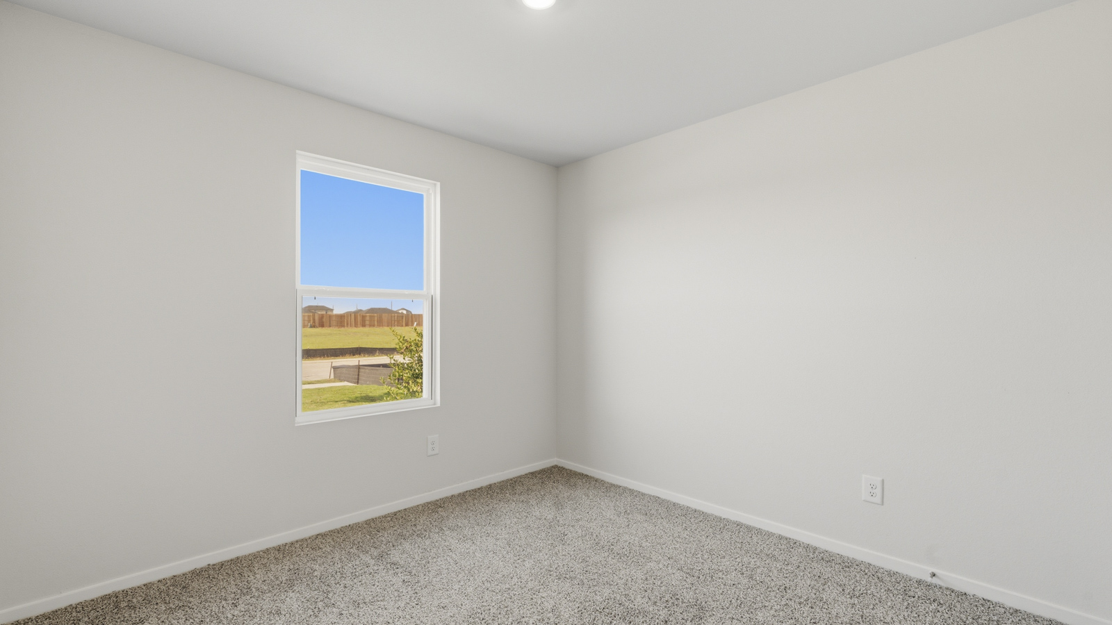 Secondary bedroom with shag carpet flooring and bright window