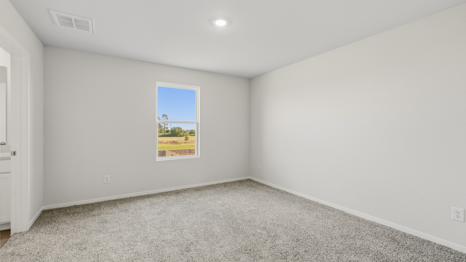 Secondary bedroom with shag carpet flooring and bright window