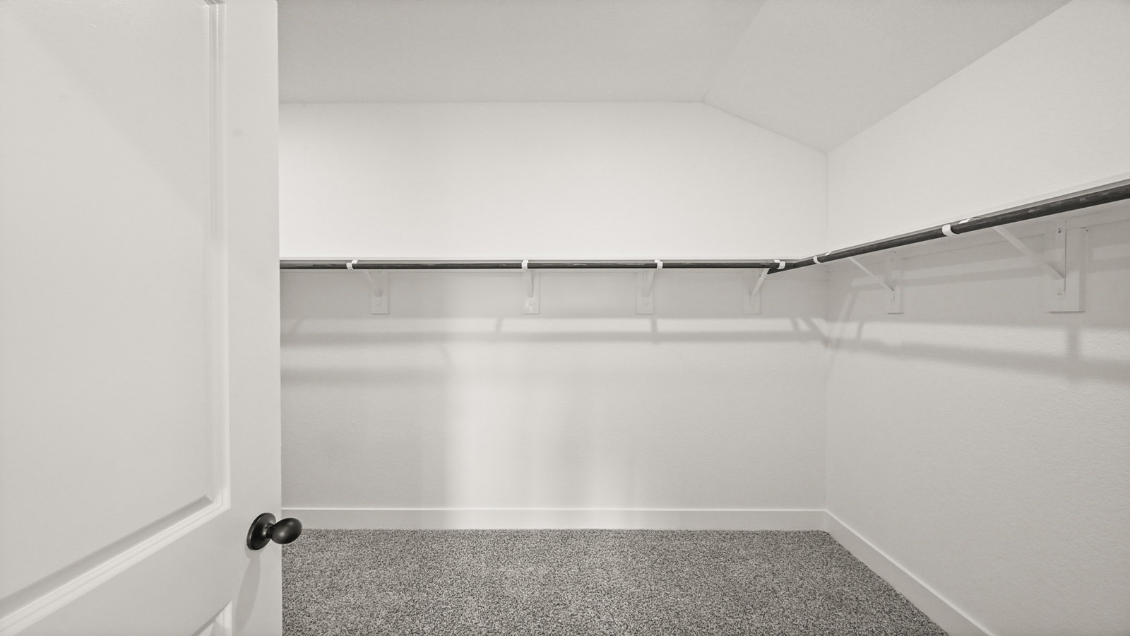 Primary walk-in closet with carpet flooring