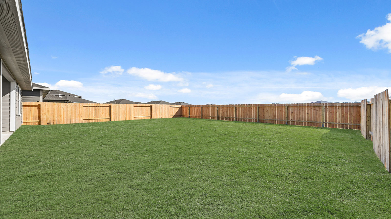 Fully Landscaped backyard