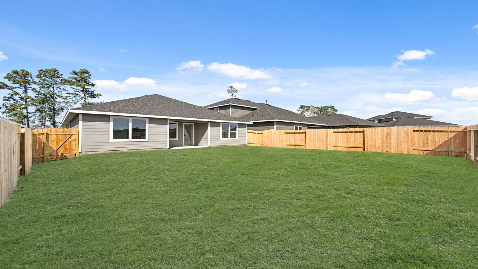 Fully Landscaped backyard