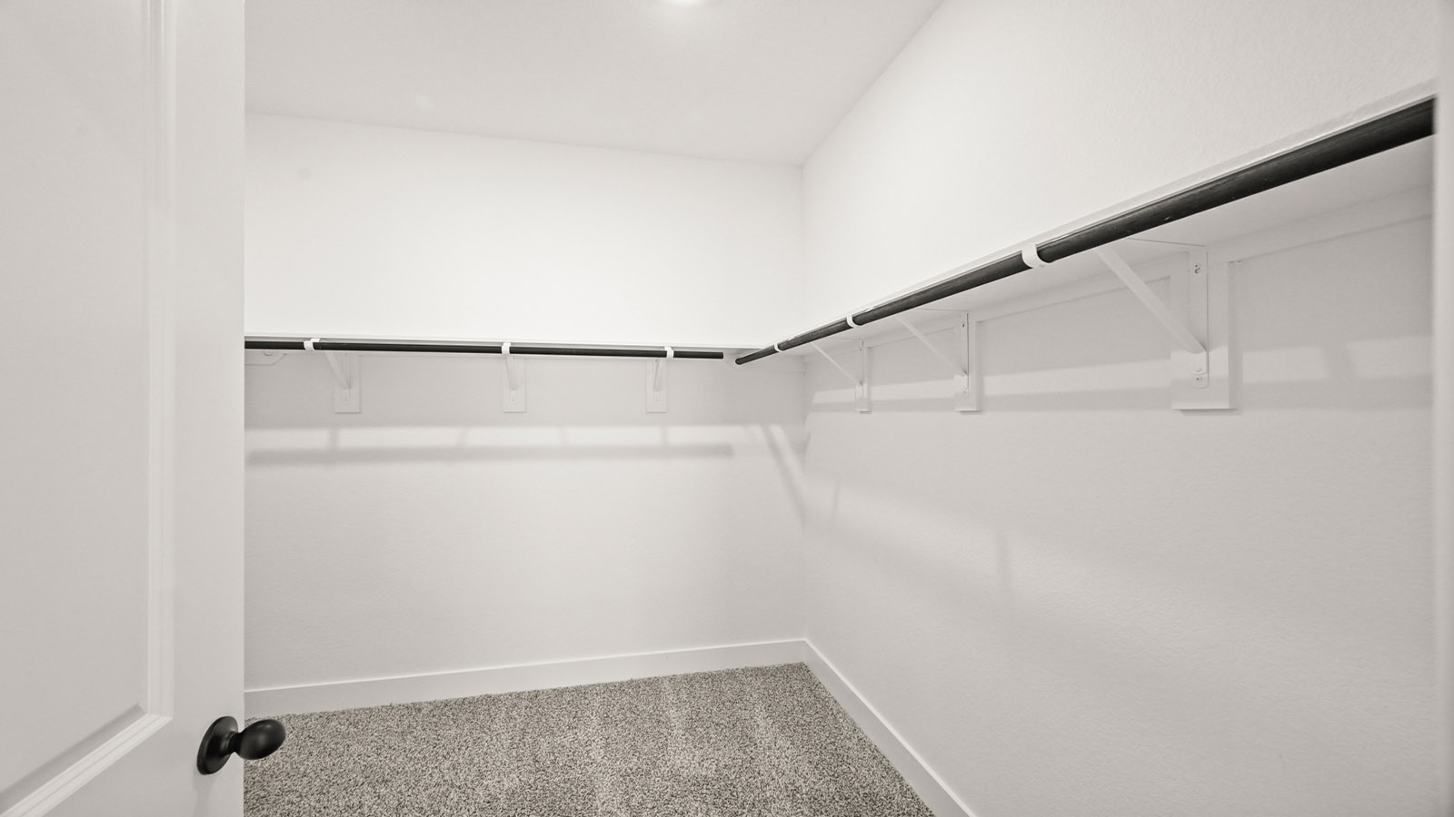 Primary walk-in closet with carpet flooring