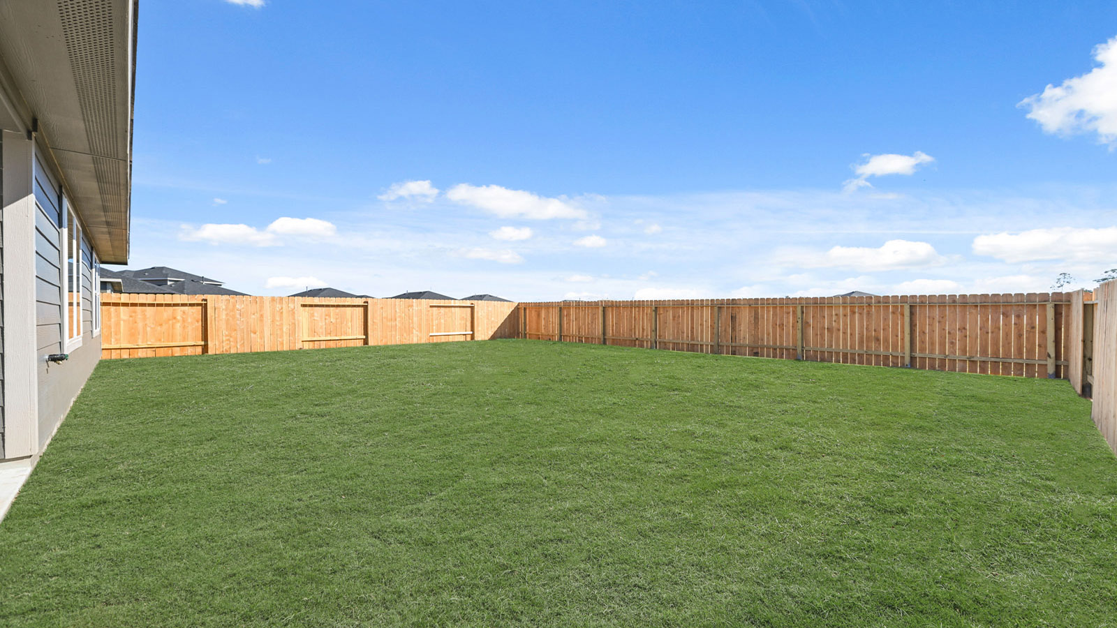Large backyard with green grass