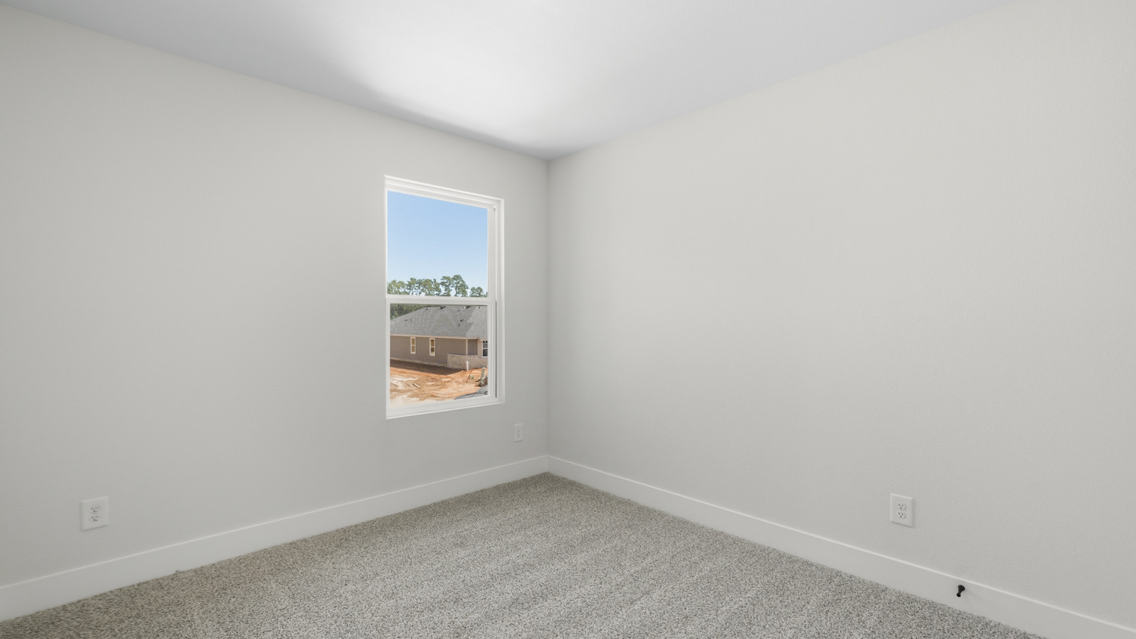Secondary bedroom with shag carpet flooring and bright window