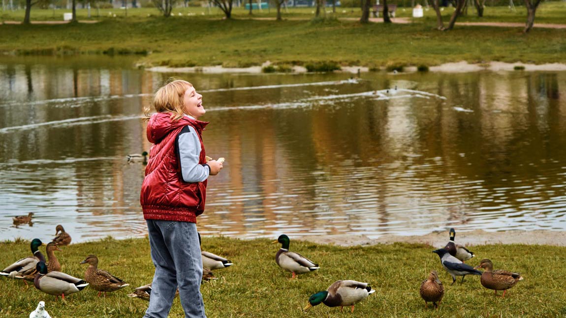 Maple Reserve by D.R. Horton