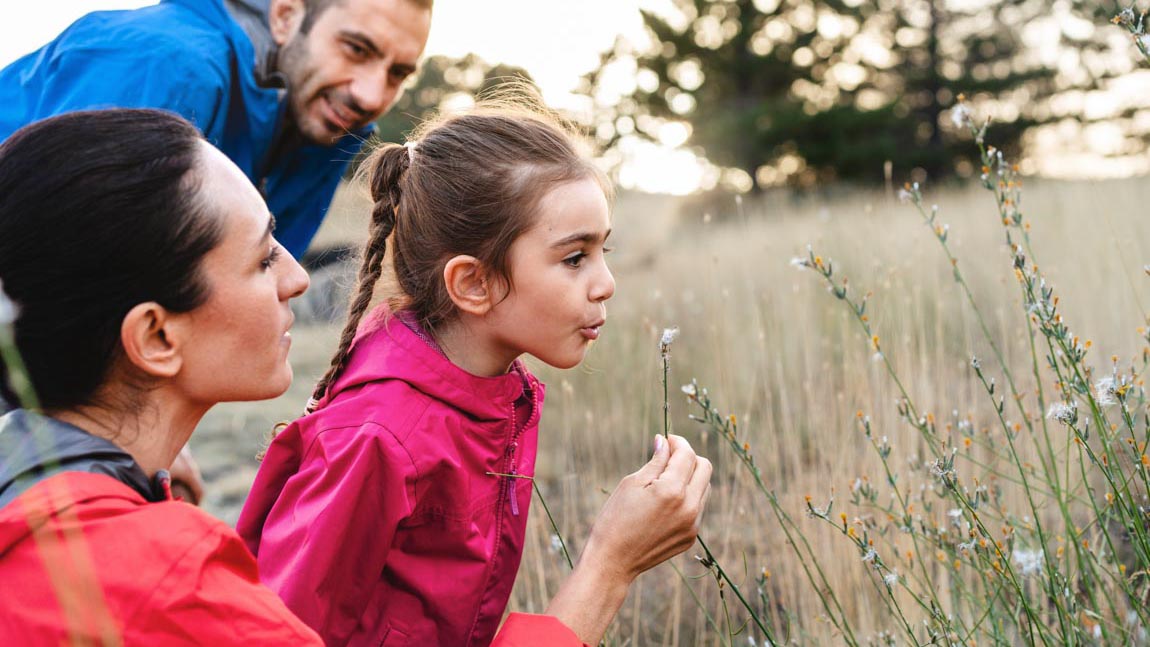 Maple Reserve by D.R. Horton