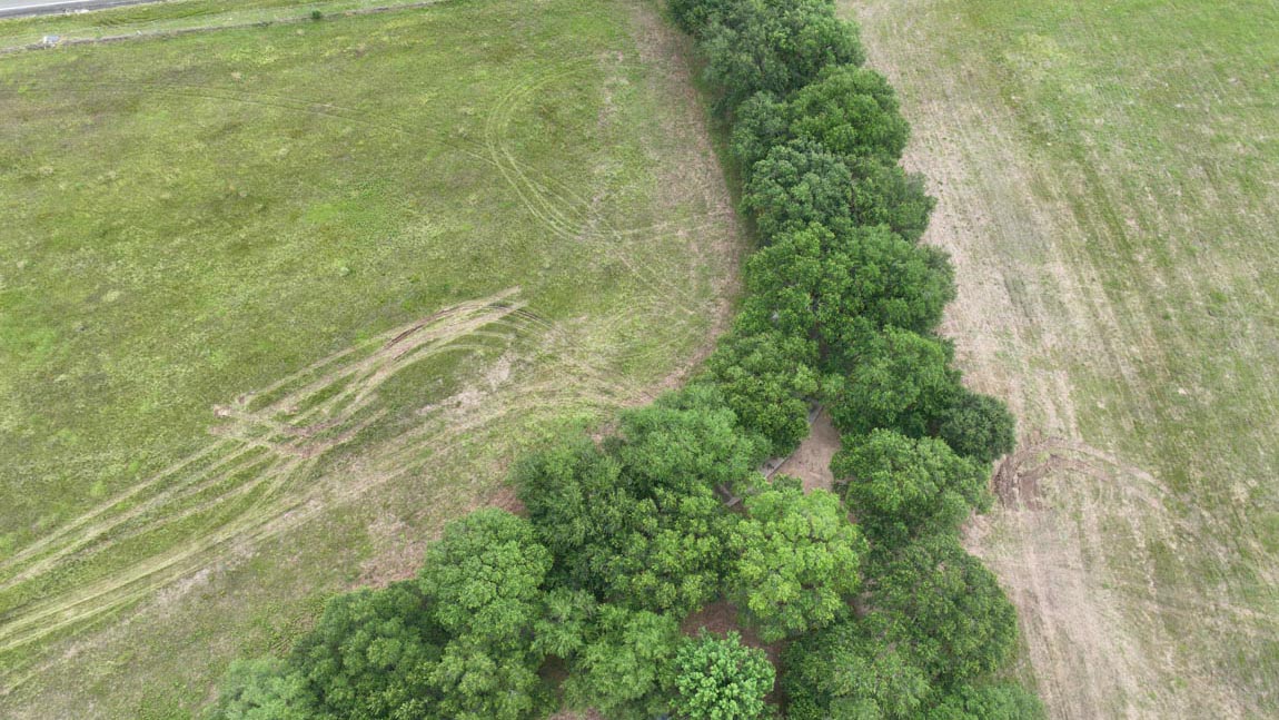 Maple Reserve by D.R. Horton